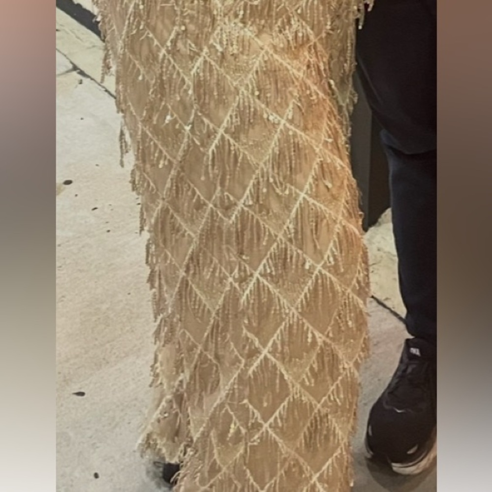 Eloquii Wide Leg Fringe Sequin Pants Stretch Waist New Years 1920s Party - Picture 3 of 3